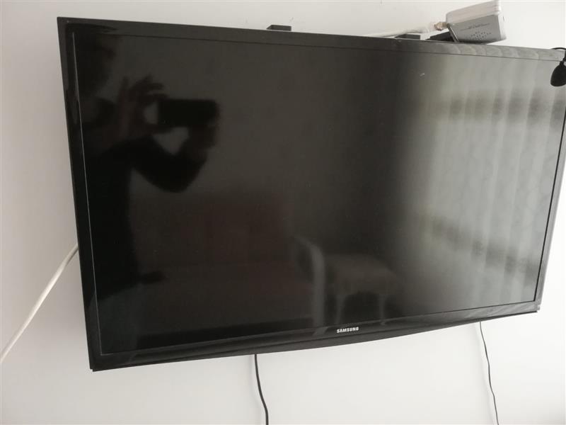 SAMSUNG T31D310EW